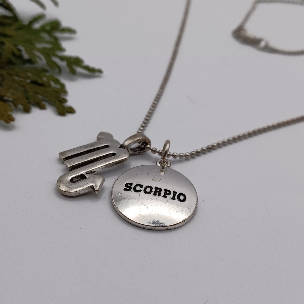 ✨️ 5 for $15 - Scorpio Pendant on Chain